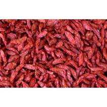 구기자열매건재 300g