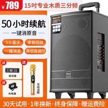 버스킹 앰프 휴대용 이동식 스피커 광장 야외 행사용 무대, 15인치 + 무선 마이크