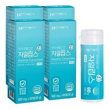 상쾌한 자일립스 60정 4개 휴대용 츄어블 캔디 입냄새 페퍼민트 구강 청결 가글 자일리톨 포켓사탕 금연사탕, 자일립스 캔디 - 60정 (4박스)