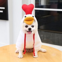 스몰 개 후드에 과일 옷 양털 애완동물 의류 프랑스 치와와 자켓 양복에 강아지 고양이 의상 코트