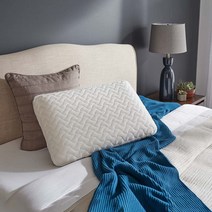 tempur 템퍼 클라우드 베개 Standard