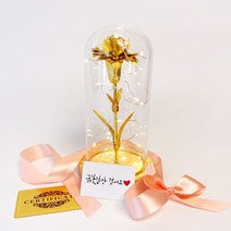오담청연 도라지정과세트(보자기미포함) 상견례선물 답례품, 1박스, 300g