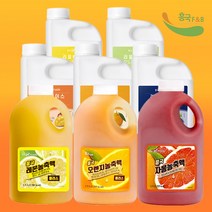 흥국 자몽 농축액 오렌지 레몬 청포도 애플망고 블루베리 한라봉 에이드, 04-리얼베이스 레몬 1kg