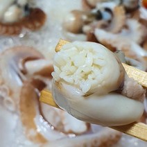 서해안 알주꾸미 알배기 쭈꾸미 1kg 급냉, 주꾸미 1kg (8-10미 내외)