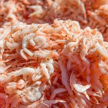 서해안 김장새우 급냉 동백하 김장용 생새우 1kg, 동백하 1kg, 1개