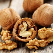 [충북농원] 상촌 호두 묘목 1-2년생 실생묘, 실생/2년생/H1.0