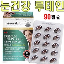 우리가족 캐나다직수입 종합눈건강 루테인 마리골드꽃추출물 류태인 비타민A 비타민E 아연 뉴테인 건강기능식품 90캡슐, 2개(6개월분)