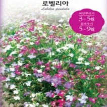 68.로벨리아 2봉지