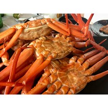 우리푸드 포항 구룡포 후포 연지홍게 붉은대게 자숙, [수율 80% 이상]연지홍게 박달형, 3kg (10~12미)