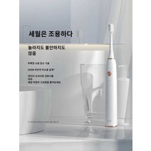 전동 칫솔 모 진동 치솔 음파 세정기 치석 제거기, 화이트UP(브러시헤드6개+여행용가죽케이스포함)