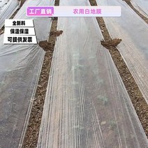 농사 투명멀칭비닐 농업용 무공 양파 비닐 주말농장 모종 투명 필름, B.폭 0.8미터 길이 450m 단일레이어