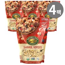 네이쳐스패스 크런치 그래놀라 썸머 베리 오트밀 312g, 4개