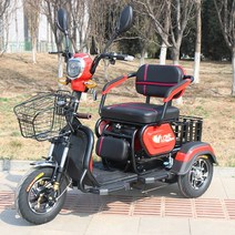 전동 스쿠터 전기 삼륜 전동차 세발 오토바이, 레드 무배터리, 48V