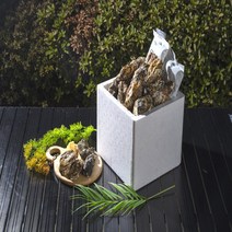 통영 입망 석화 대왕 특상 삼배체굴 2kg, 1.입망석화1kg, 1개