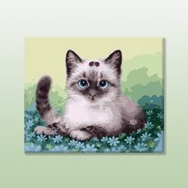 votgl diy 페인팅 명화그리기 그림그리기유화그리기세트40 x 50cm, 07고양이