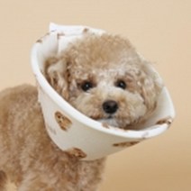 피부상처보호 부드러운 강아지넥쿠션 멍멍이 발사탕넥카라 애견넥커버 시골개 강쥐, 단일사이즈