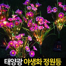 레나에너지 LED 태양광 식물 꽃 조화 정원등 조명 핑크 장미