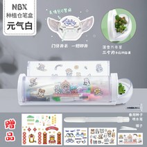 필통 다육이 플라스틱 원통 다육이 식물 키우기 초등학생 어린이, E개