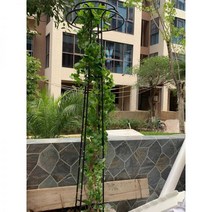 장미넝쿨 유럽풍 넝쿨지지대 철 버섯 등반 pergola 정원 우산 브래킷 식물 프레임 야외 클레 마티스 장미 꽃 선반, 검정, 대형
