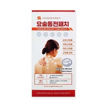 성림 요술동전패치 자석파스 붙이는파스 근육통푸는법, 1개, 1개