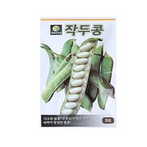 [바보사랑] 미미네가든 작두콩 씨앗 (5립) -텃밭 채소 키우기, 상세 설명 참조