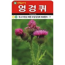 산약초 엉겅퀴 씨앗(100립)(A0501), 1개