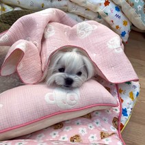 해피앤퍼피 강아지 이불 4중 요르거즈 천연면 블랭킷 이불 베개 사계절용 외출시 필수품 강아지집, 4.푸푸반달베게_핑크
