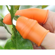 엄지손가락칼 고추 야채손질 오이수확 원예칼 화훼, L