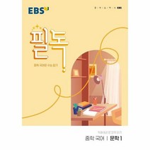E 22 필독 중 문학1, 상품명