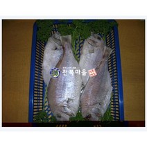 반건조 참돔 말린 참돔(대)1마리 도미 생선매운탕 생선구이