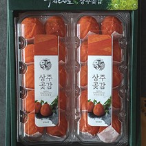 상주 곶감 건시 반건시 세트 최상품 백화점 추석 설 명절 선물세트, 단품set