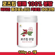 로즈힙 가루 고함량 비타민C 탄닌 무기질 카로틴 함유 열매 분말 파우더 플라보노이드 베타카로틴 비타민E 라이코펜 폴란드산 120g 1통