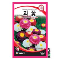 과꽃 300립/ 꽃씨 화단 꽃밭 정원 베란다텃밭 과꽃씨앗 과꽃씨