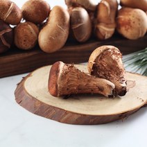재배 참 송이 버섯 솔향 차, 참 송이 솔향차 60g2봉지, 60g, 2개, 2개
