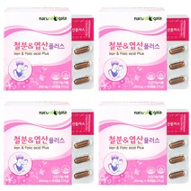 타이거아울렛 철분 엽산 60캡슐 x 4박스 8개월분 여성 임산부 수유부 임신초기 남성 청소년 어린이 가용성 햄철 헴철 철분제, 단품, 단품