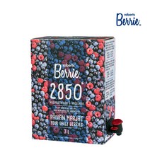 로버츠베리에 야생 빌베리 앤 라즈베리 3L 디스펜서, 1개, 3000ml