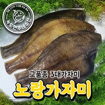 반건조 가자미 손질크기20cm내외 / 10미, 반건조가자미 10마리/개별포장