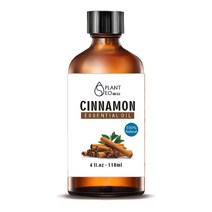 닥터월드 뷰티 아로마 에센셜오일 118ml 대용량, 뷰티 시나몬 에센셜오일 118ml