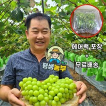 경북 김천 수출용 고당도 샤인머스켓, [1.5kg] 상등급 (2송이내외)