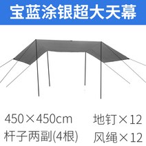 캠핑 초대박 텐트 실버 타프 천막 선루프 방수 비 방지, 14.실버 블루 4.5X4.5m(파2)