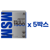 미국산 프리미엄 MSM 엠에스엠 무릎 연골 관절에 좋은 영양제, 5박스(300정)