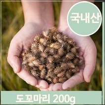 셀러허브 식품 국화과 약초 창이자 200g 도꼬마리 열매 건강 한방, 선택옵션