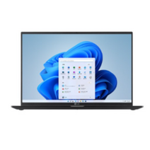 LG 2022 울트라PC 엣지 16, 256GB, 차콜 그레이, 16U70Q-HA76K, 라이젠7, 16GB, WIN11 Home