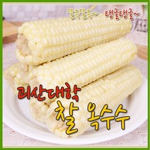 [개미네] 괴산 대학찰옥수수 15개(3개씩포장), 상세 설명 참조, 상세 설명 참조
