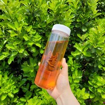 모닝팜 국산 우엉차 도라지차 돼지감자차 여주차 작두콩차 50g, 티백 트라이탄보틀500ml