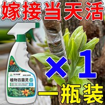 상처 나무 과수원 연고 수목 가지 보호제 보호 치료제, 1개