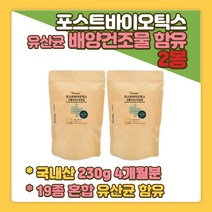 박테로이데테스 Bacteroidetes 포스트바이오스틱 프롤린 유산균 파우더 위대한V133 프락토올리고당 난소화성말토덱스트린 Fermentum Lactis 락토바실러스 헬베티쿠스 가세리 추천