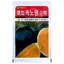 속노랑수박씨앗 5알 노란수박 씨앗 종자