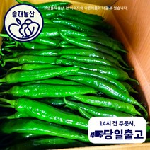 ( 승재농산 ) 국내산 오이고추 아삭이고추 오이맛고추 특등급 상등급 10kg내외, 상10kg내외, 1개
