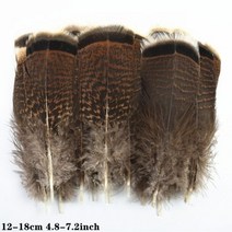 도매 천연 공작 꿩 깃털 작은 닭 거위 플라이 묶는 재료 수공예 액세서리 장식, 100 Piece, Size 12-18CM